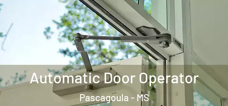 Automatic Door Operator Pascagoula - MS