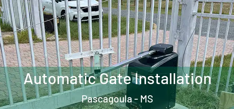 Automatic Gate Installation Pascagoula - MS