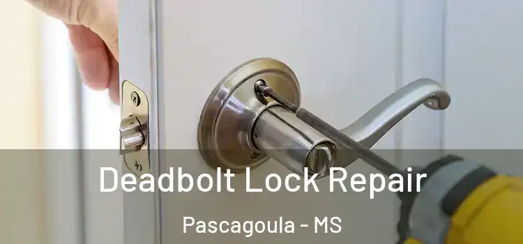 Deadbolt Lock Repair Pascagoula - MS