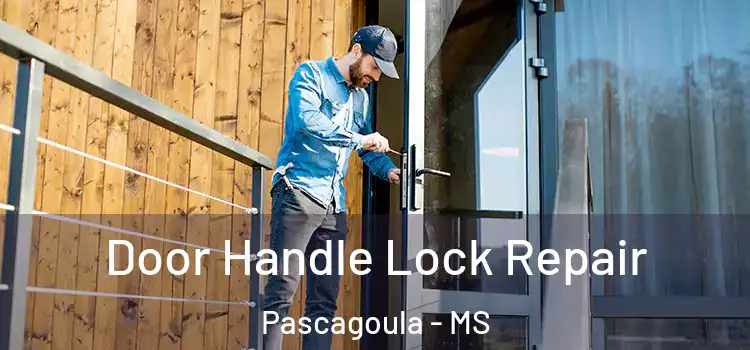 Door Handle Lock Repair Pascagoula - MS