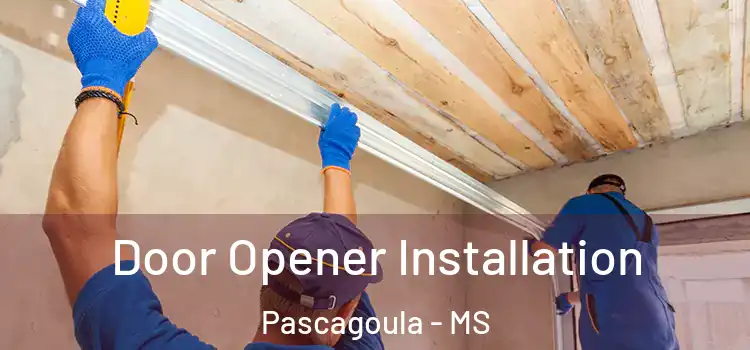 Door Opener Installation Pascagoula - MS