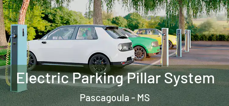 Electric Parking Pillar System Pascagoula - MS