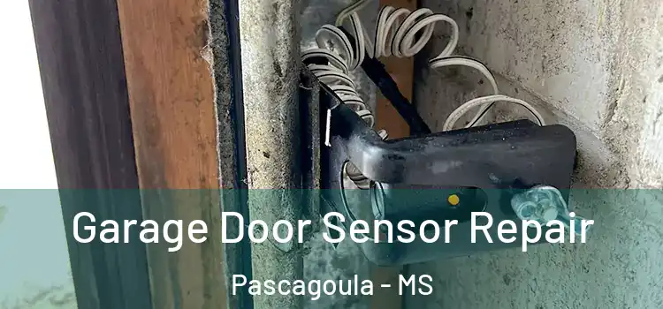 Garage Door Sensor Repair Pascagoula - MS