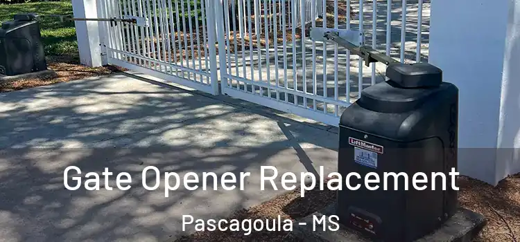 Gate Opener Replacement Pascagoula - MS