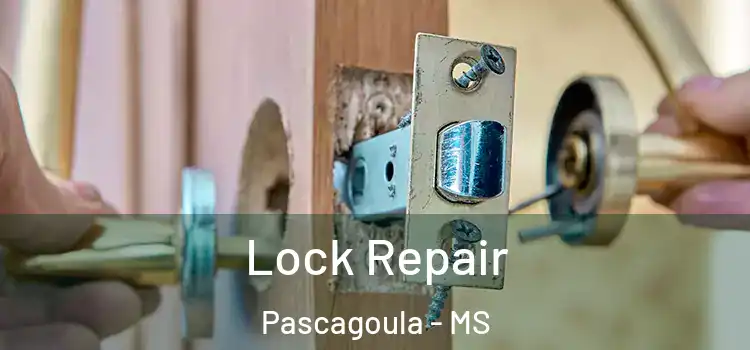 Lock Repair Pascagoula - MS