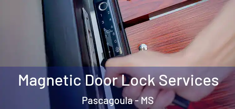 Magnetic Door Lock Services Pascagoula - MS