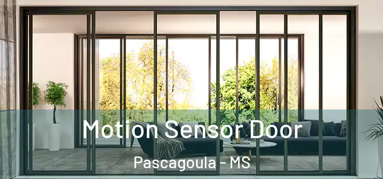 Motion Sensor Door Pascagoula - MS