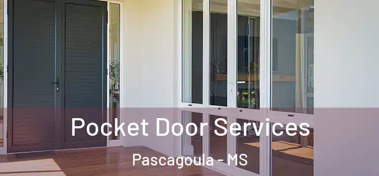 Pocket Door Services Pascagoula - MS