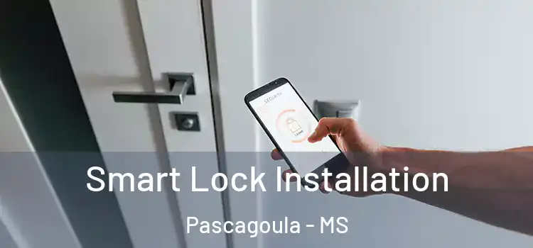 Smart Lock Installation Pascagoula - MS
